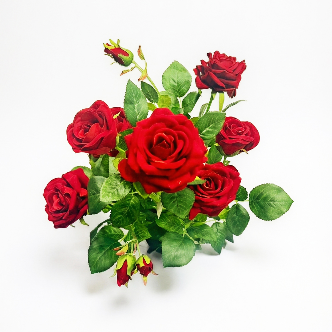 zoom